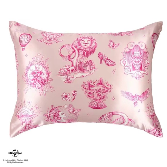 2pc Wicked x Blissy Silk Pillowcases - 100% Mulberry Silk - Anti-Damage Haircare - Picture 6 of 8